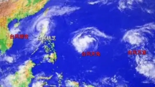2024台风最新消息(2021年24号台风最新动态) 2024台风最新消息(2021年24号台风最新动态)