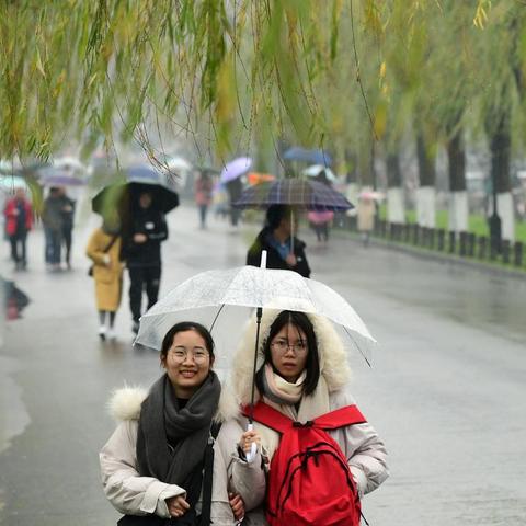 杭州天气40天（杭州天气40天准确）