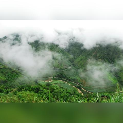云南6月份是雨季吗（云南6月份是雨季吗还是晴天）