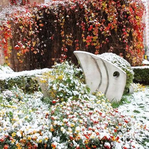 哈尔滨现在下雪了吗（哈尔滨下雪了吗2025年）