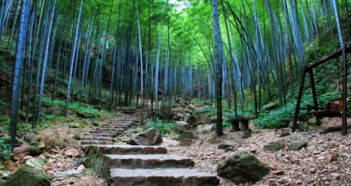 宜兴市天气预报(宜兴市天气预报一周) 宜兴市天气预报(宜兴市天气预报一周)