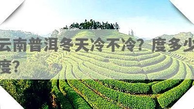 云南冬天温度一般多少（云南冬天最低温度）