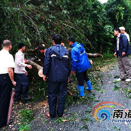 台风杜苏芮最新消息（台风杜苏芮最新消息视频）