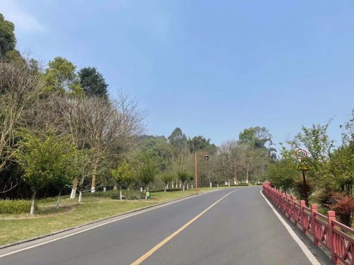 乐山天气(乐山天气实况) 乐山天气(乐山天气实况)