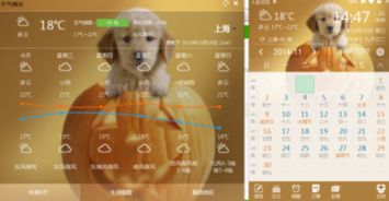 上海天气预报15天（上海天气预报15天准确天气查询表）