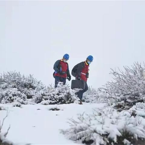 伊春天气（伊春天气预报）